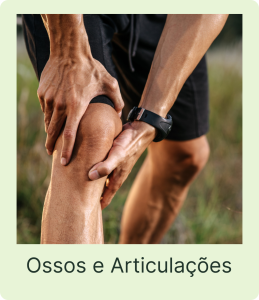 OSSOS-E-ARTICULACOES
